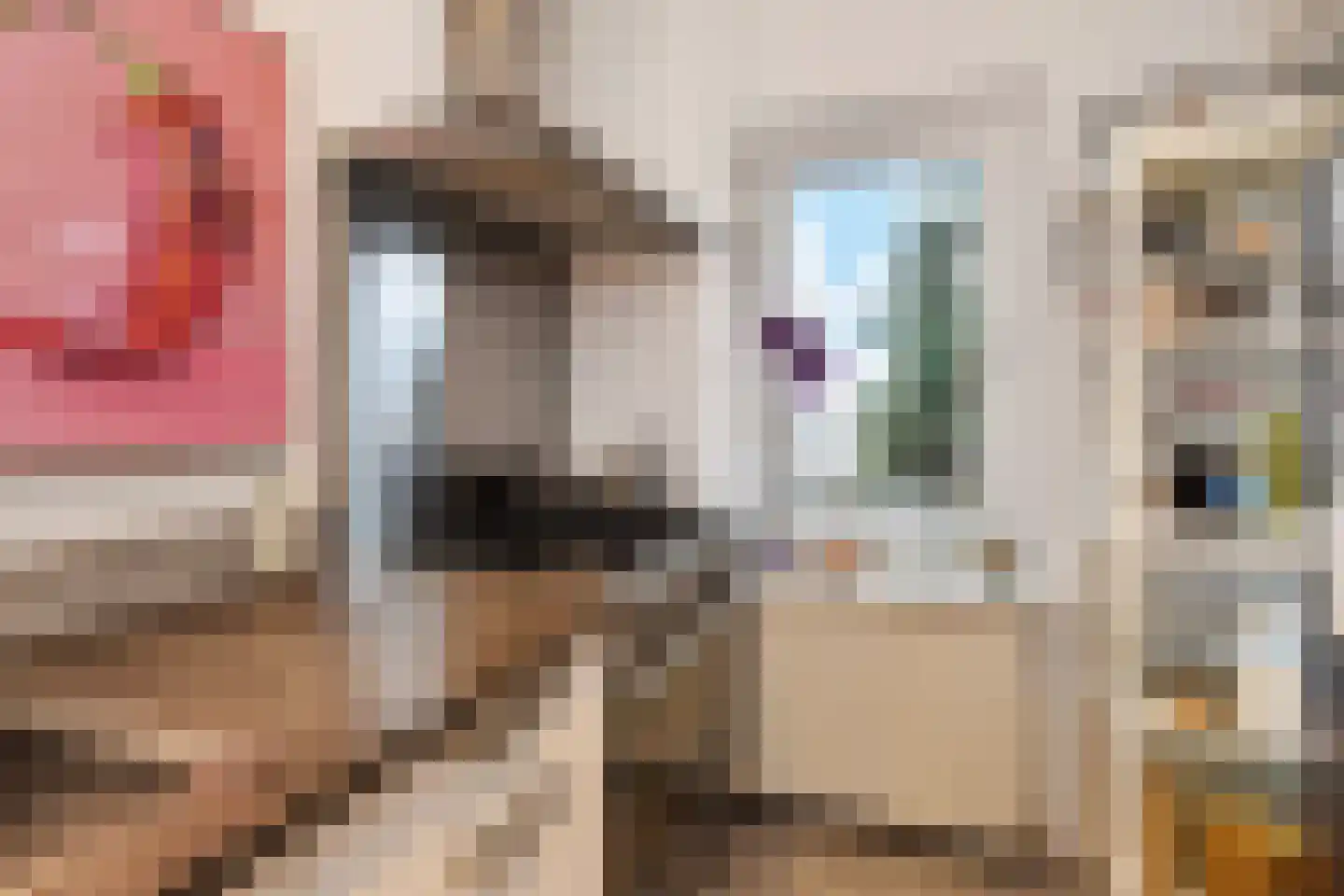 Acacialaan 19 Rijswijk thumbnail 13