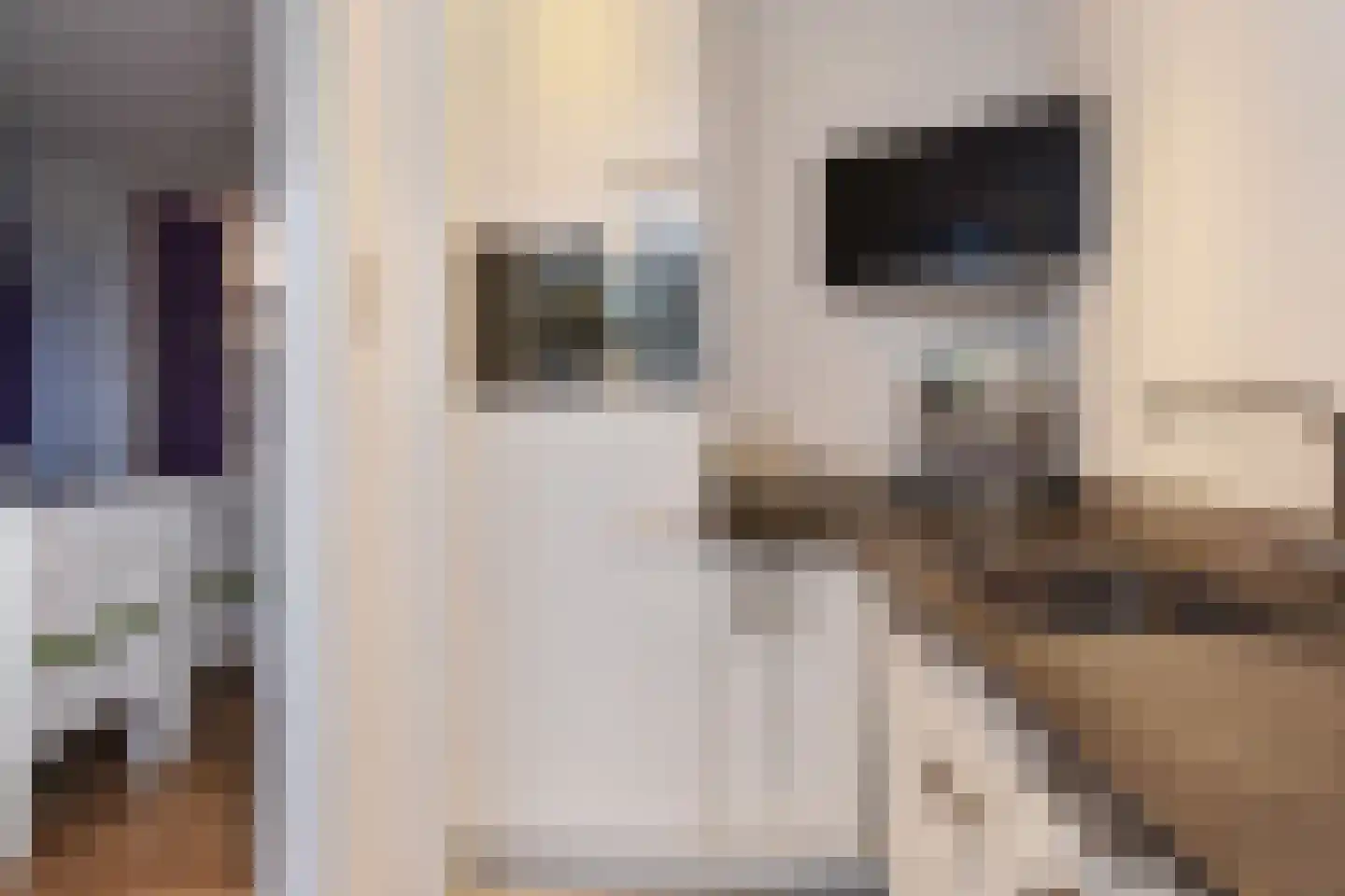 Acacialaan 19 Rijswijk thumbnail 15