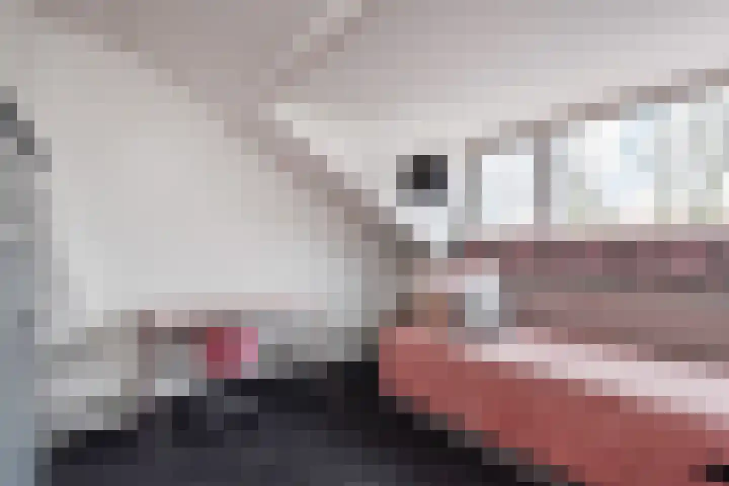 Acacialaan 19 Rijswijk thumbnail 31