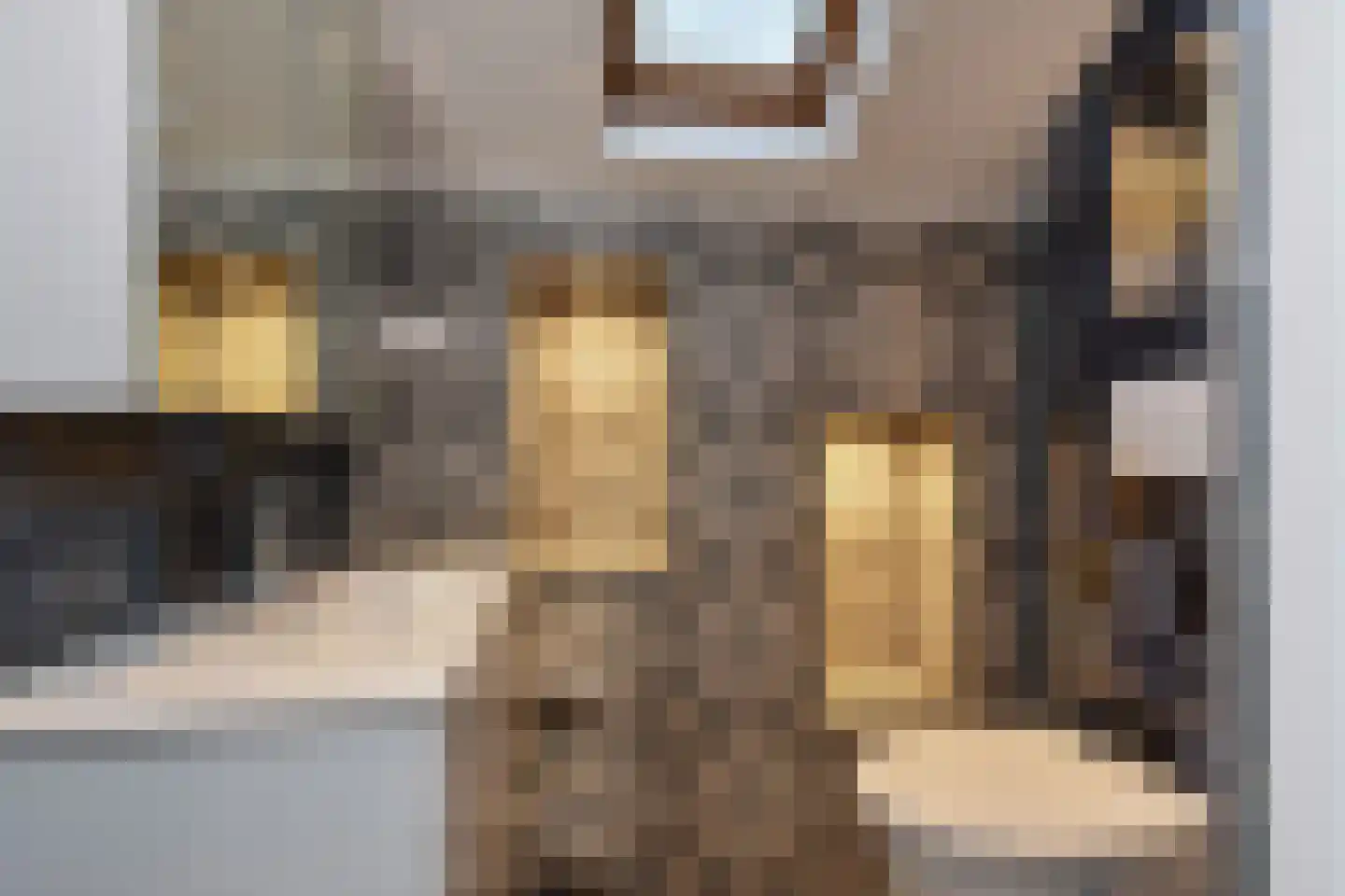 Acacialaan 19 Rijswijk thumbnail 33