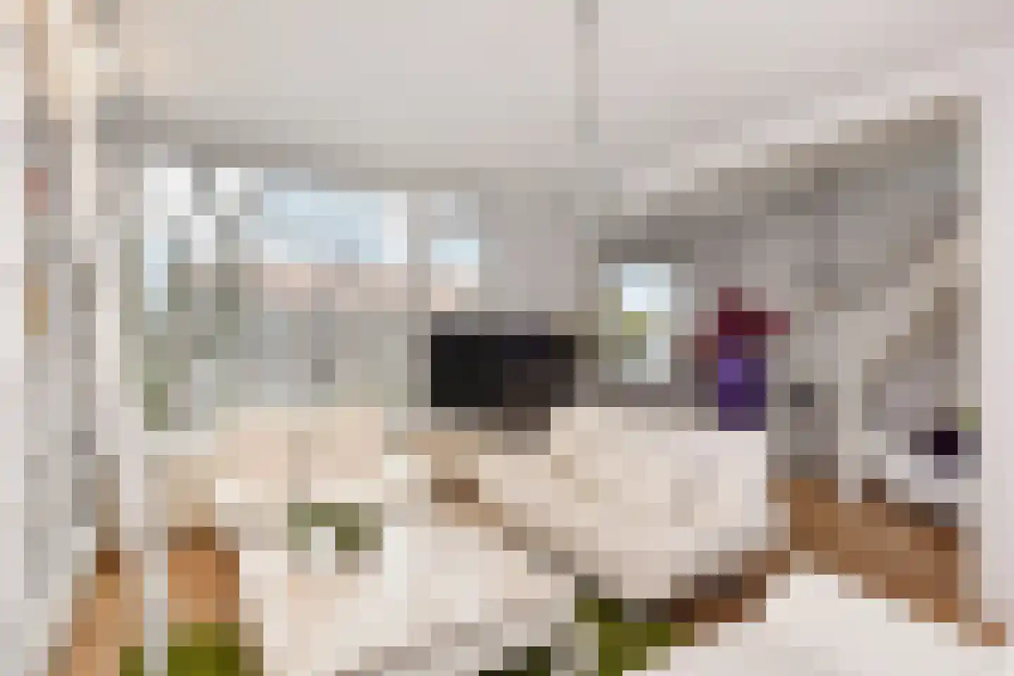 Acacialaan 19 Rijswijk thumbnail 4