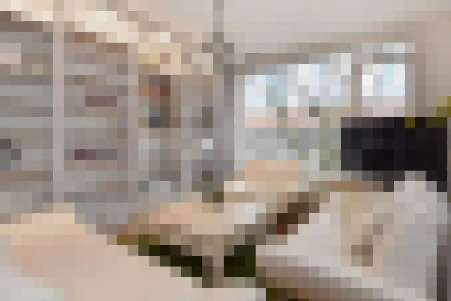 Acacialaan 19 Rijswijk thumbnail 6