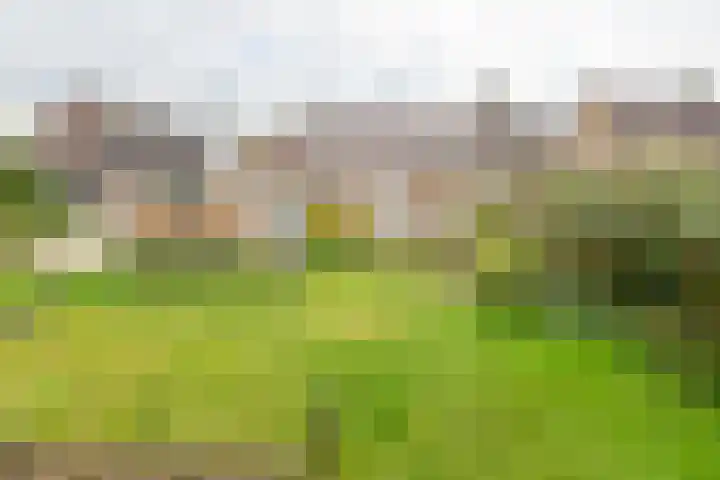 Acacialaan 2 Netterden thumbnail 29