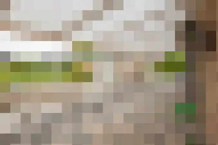 Acacialaan 2 Netterden thumbnail 30