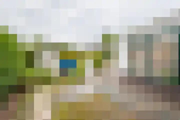 Acacialaan 2 Netterden thumbnail 32