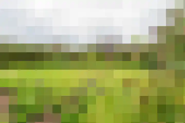 Acacialaan 2 Netterden thumbnail 34