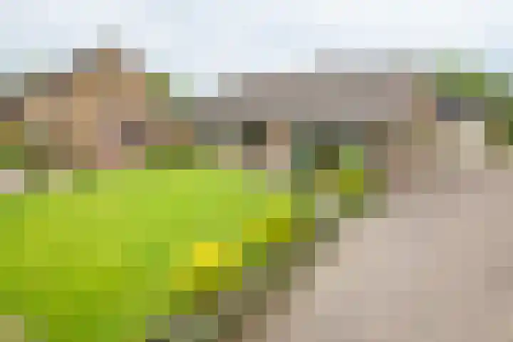 Acacialaan 2 Netterden thumbnail 36