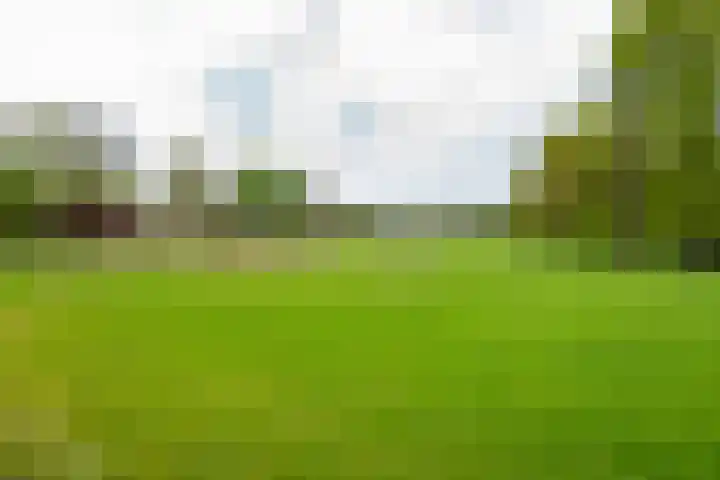 Acacialaan 2 Netterden thumbnail 39