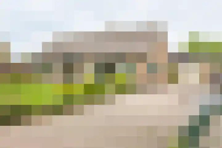 Acacialaan 2 Netterden thumbnail 5