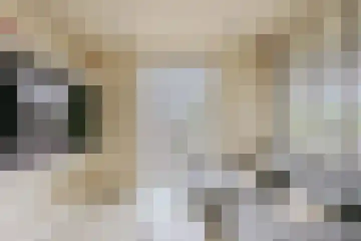 Acacialaan 20 20 Amstelveen thumbnail 10