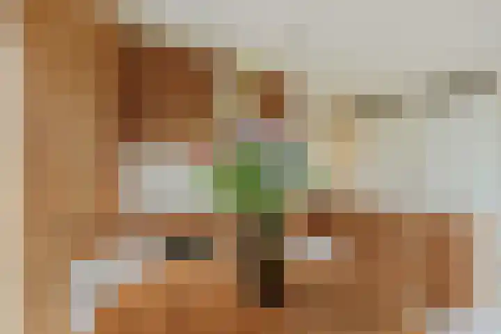 Acacialaan 20 20 Amstelveen thumbnail 13