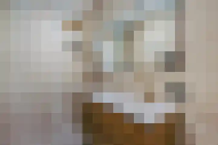 Acacialaan 20 20 Amstelveen thumbnail 24