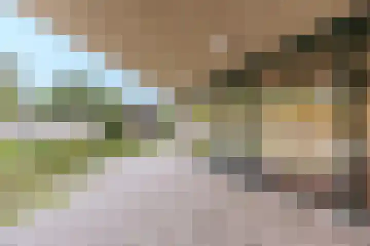 Acacialaan 20 20 Amstelveen thumbnail 29