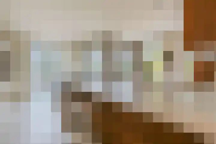 Acacialaan 20 20 Amstelveen thumbnail 4