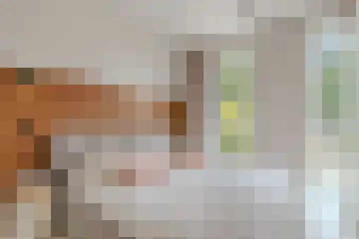 Acacialaan 20 20 Amstelveen thumbnail 6