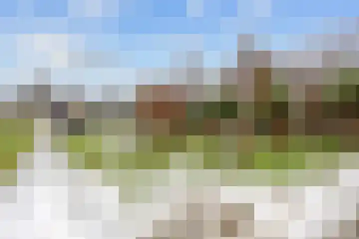 Acacialaan 21 Sauwerd thumbnail 39