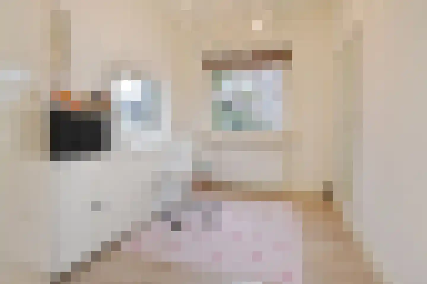 Acacialaan 23 Rijswijk thumbnail 20