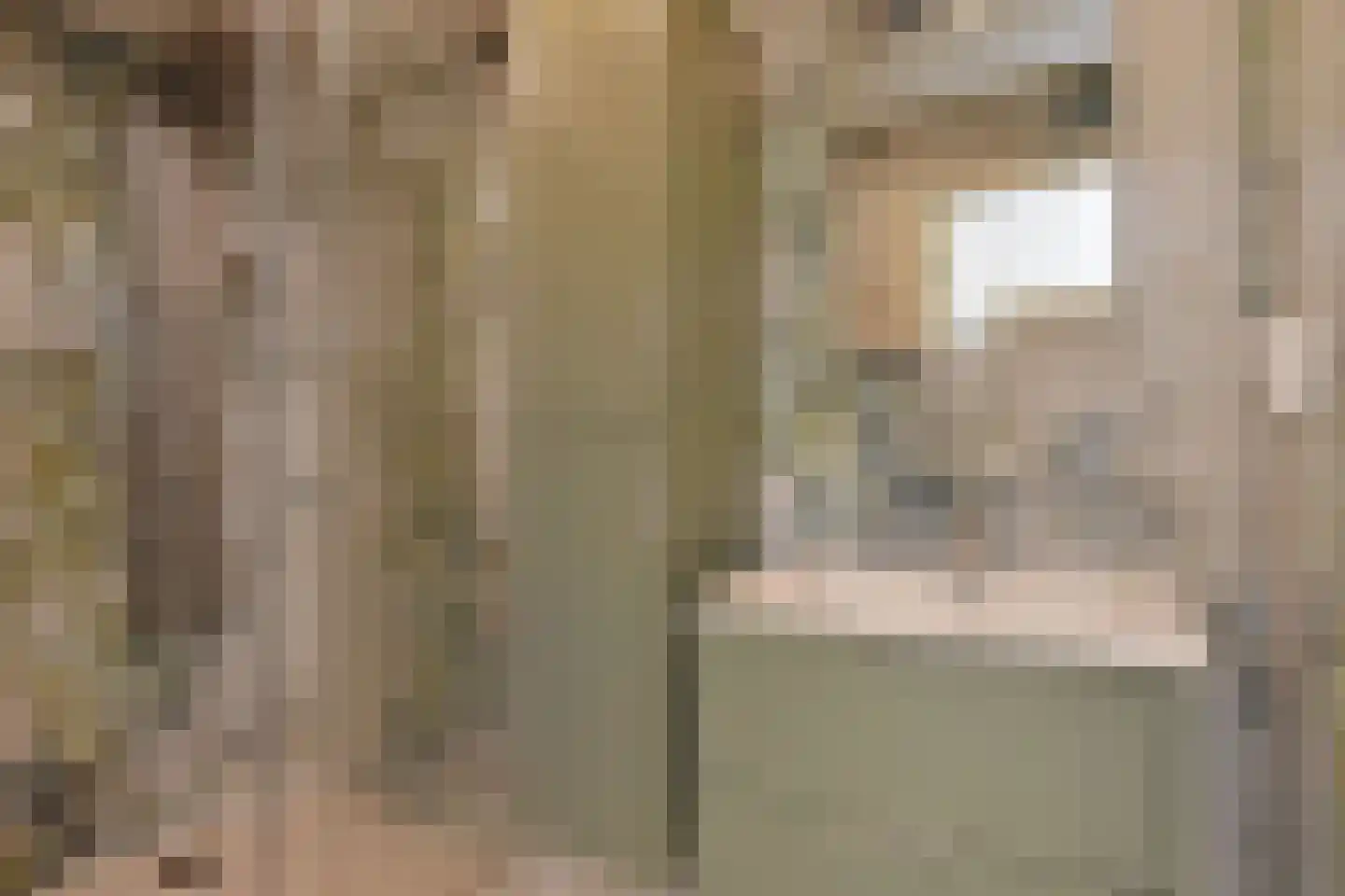 Acacialaan 23 Rijswijk thumbnail 21