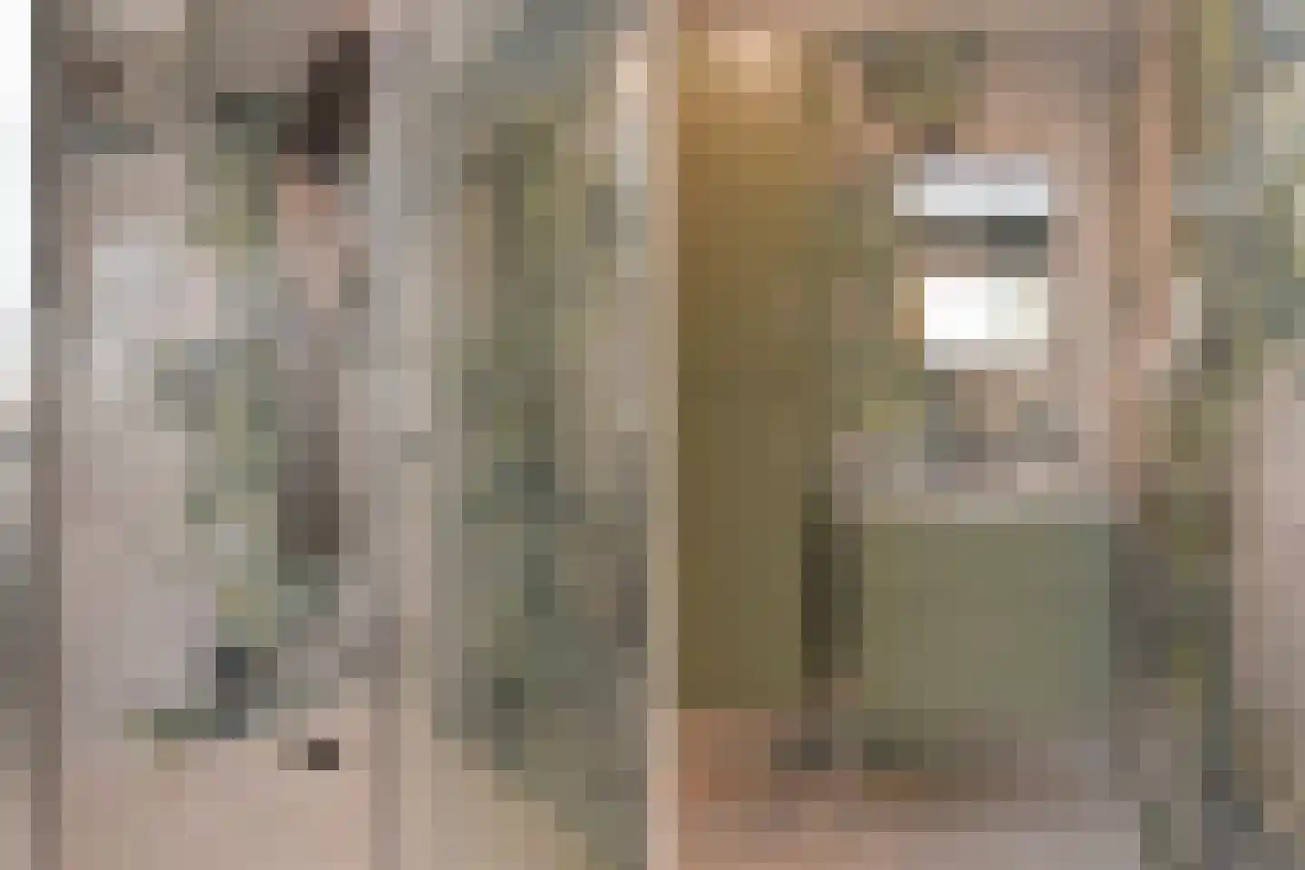 Acacialaan 23 Rijswijk thumbnail 22