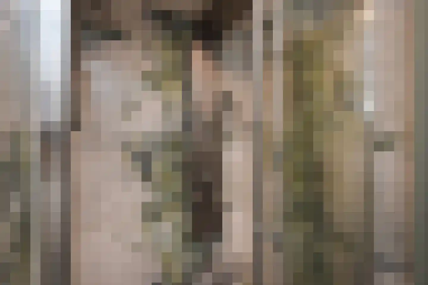 Acacialaan 23 Rijswijk thumbnail 23