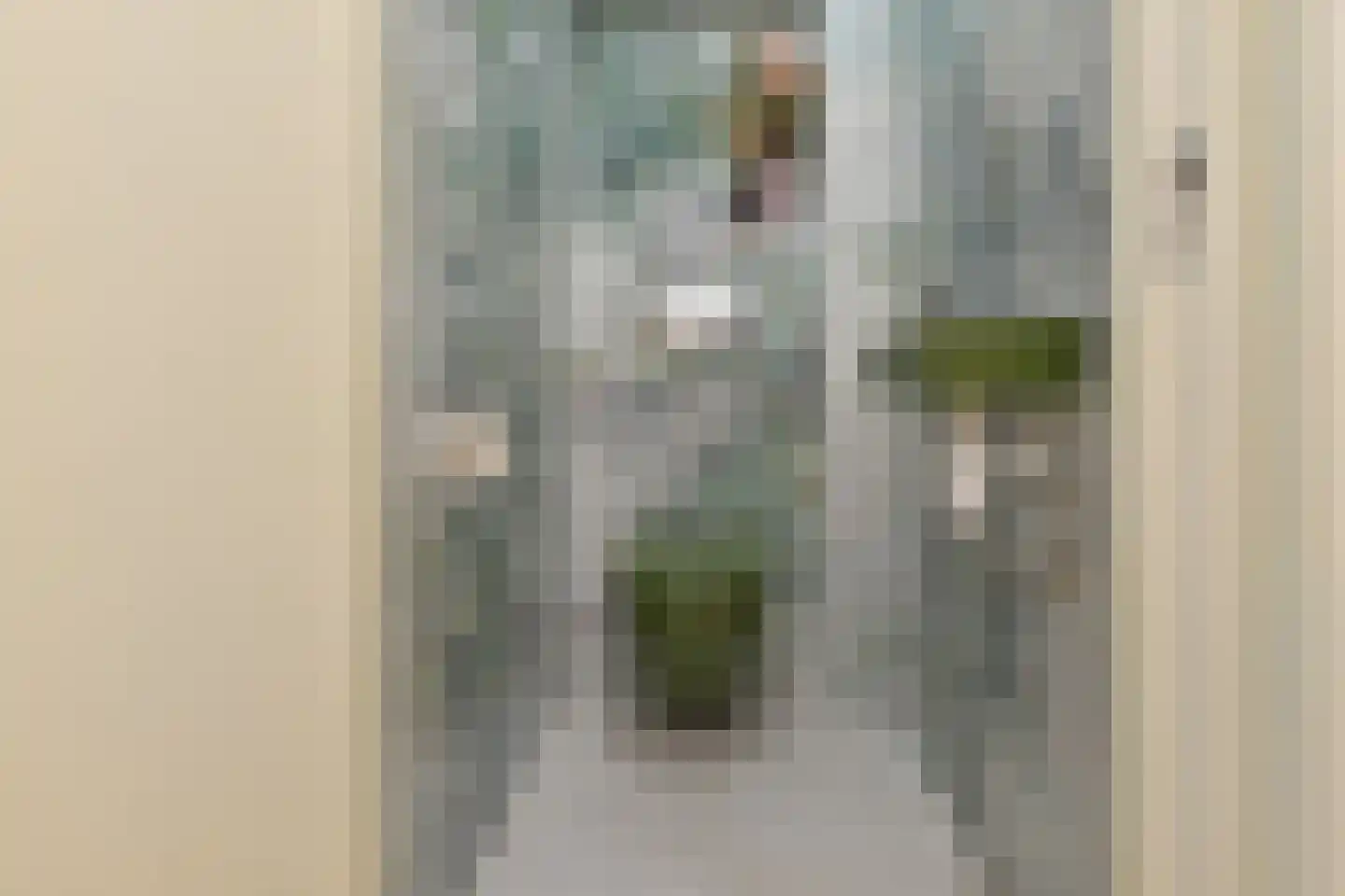 Acacialaan 23 Rijswijk thumbnail 24