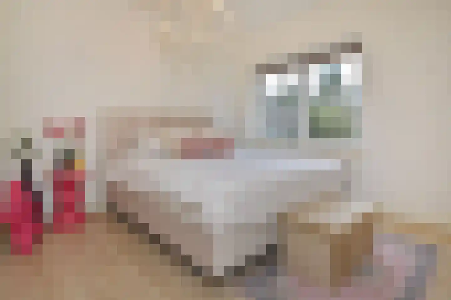 Acacialaan 23 Rijswijk thumbnail 25