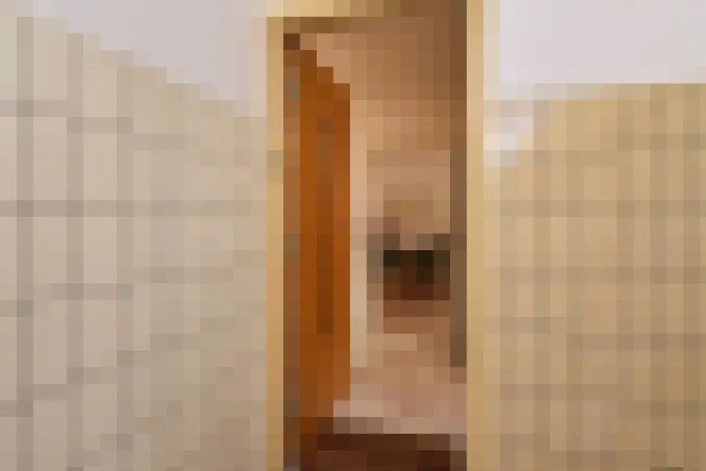 Acacialaan 23 Rijswijk thumbnail 29