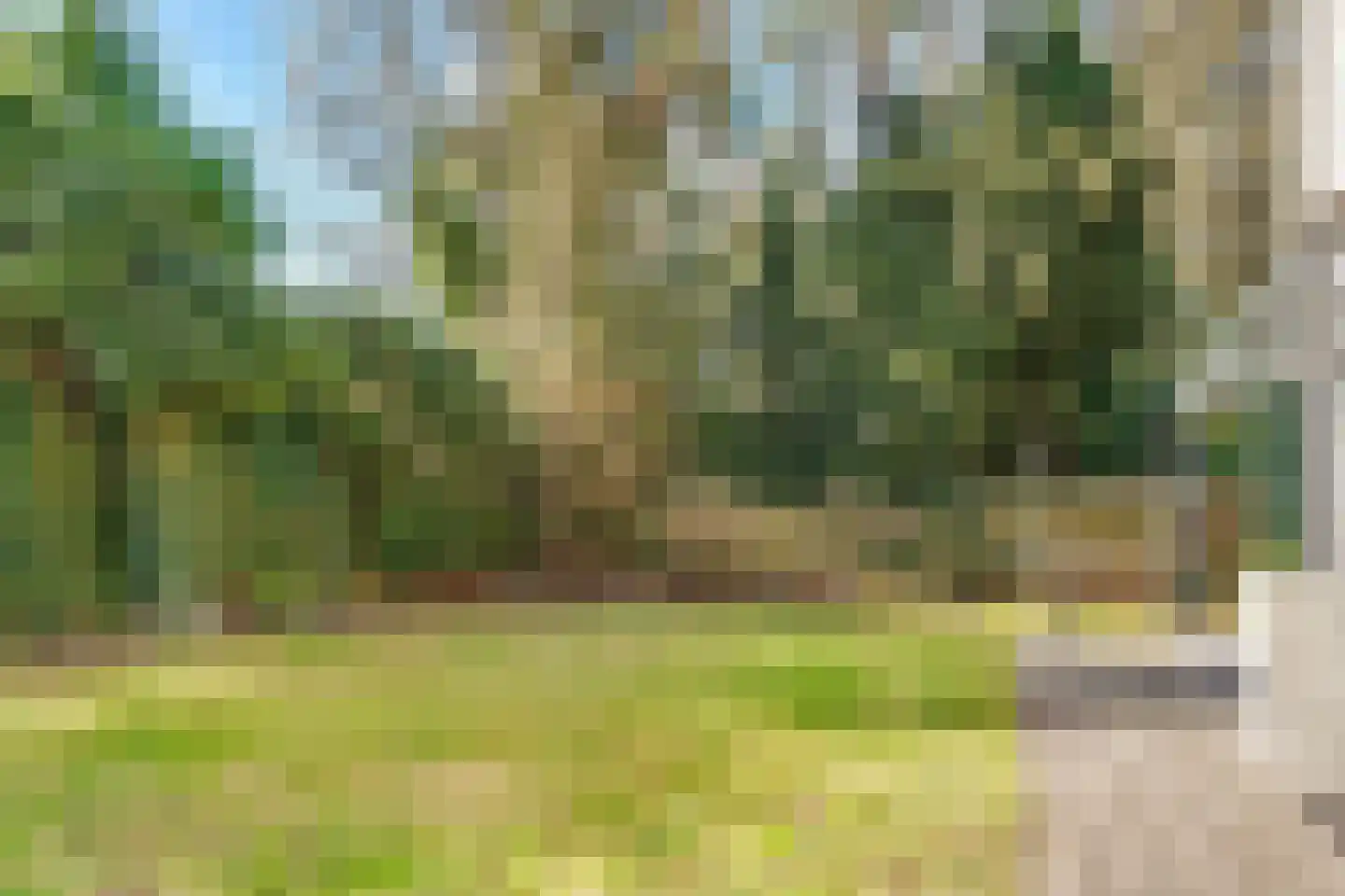 Acacialaan 24 Zeist thumbnail 45