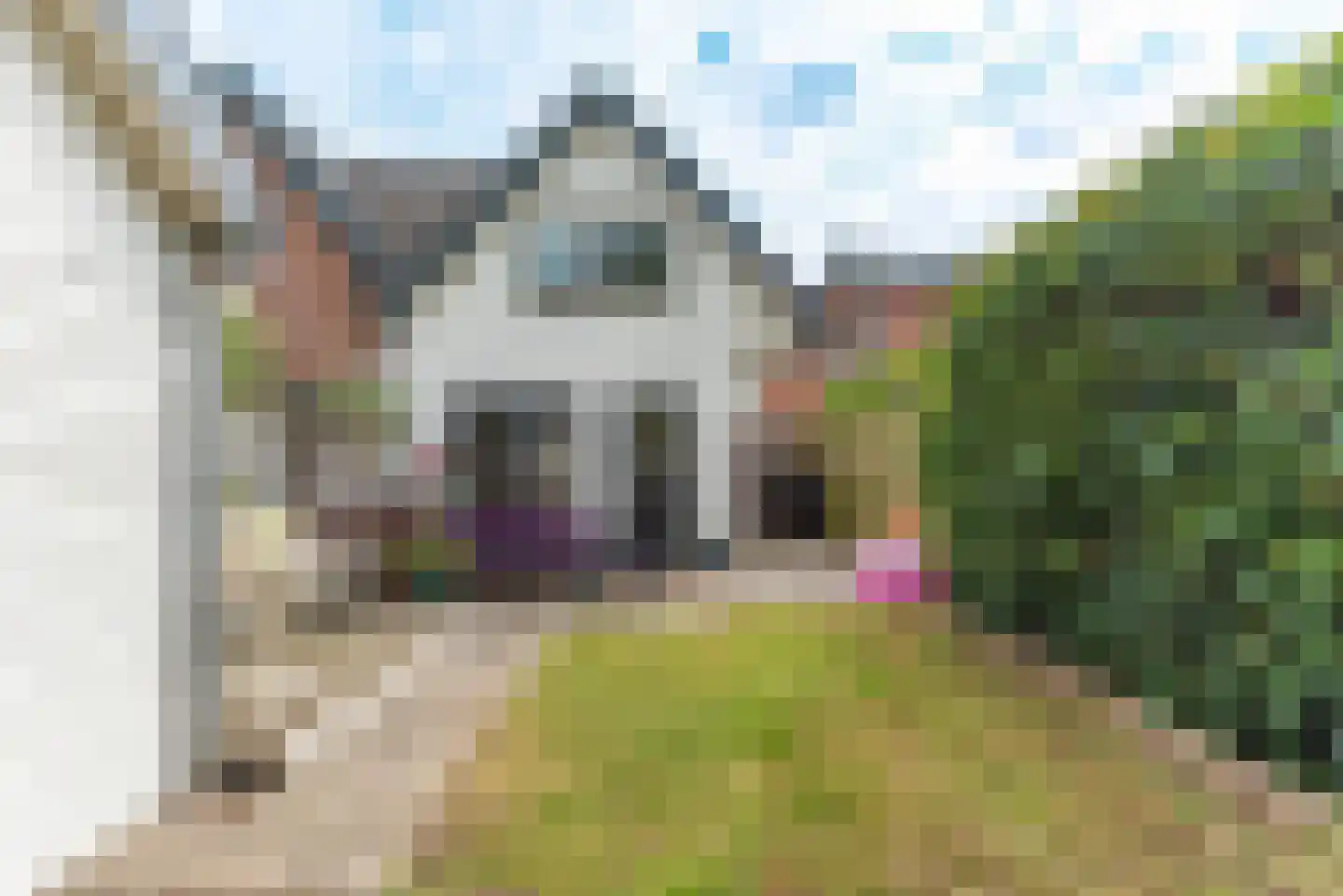 Acacialaan 25 Baarn thumbnail 19