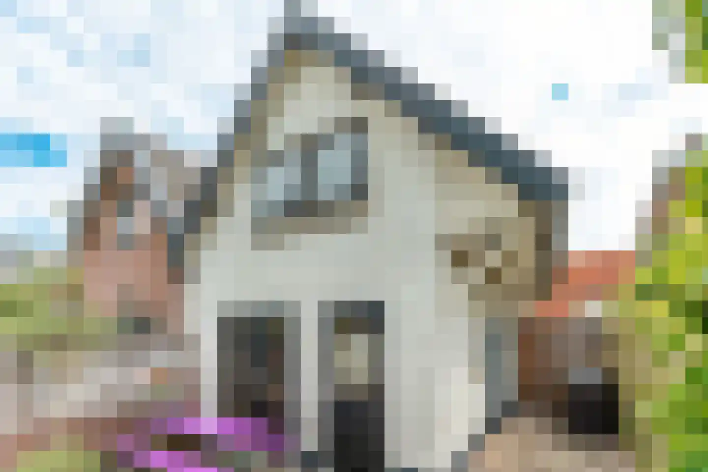 Acacialaan 25 Baarn thumbnail 20