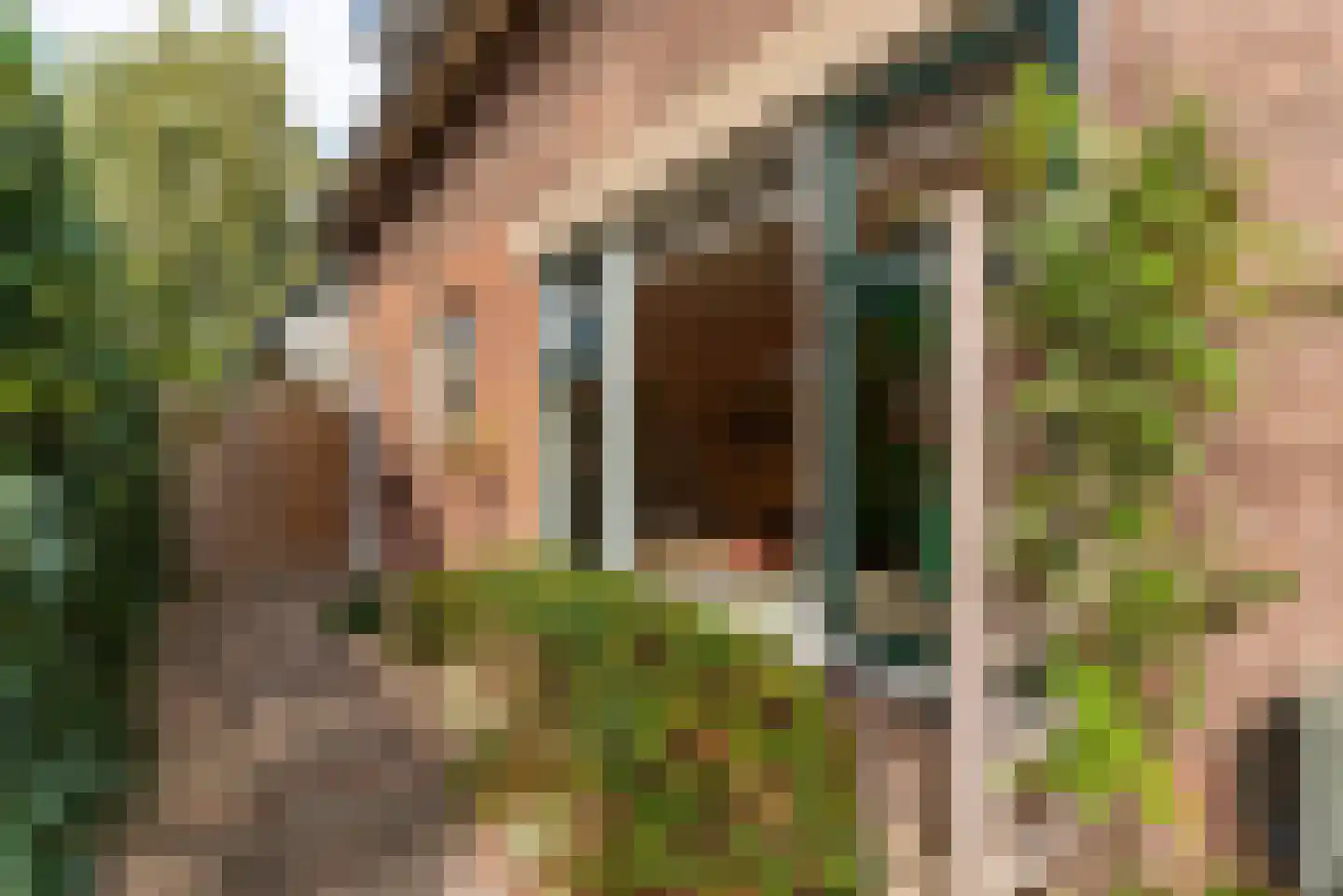 Acacialaan 25 Baarn thumbnail 22