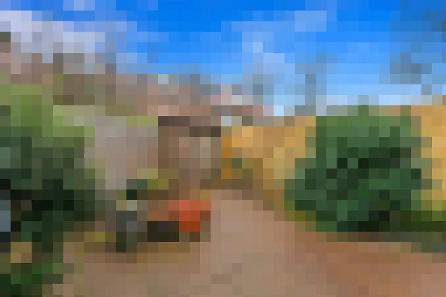 Acacialaan 25 Leiderdorp thumbnail 20