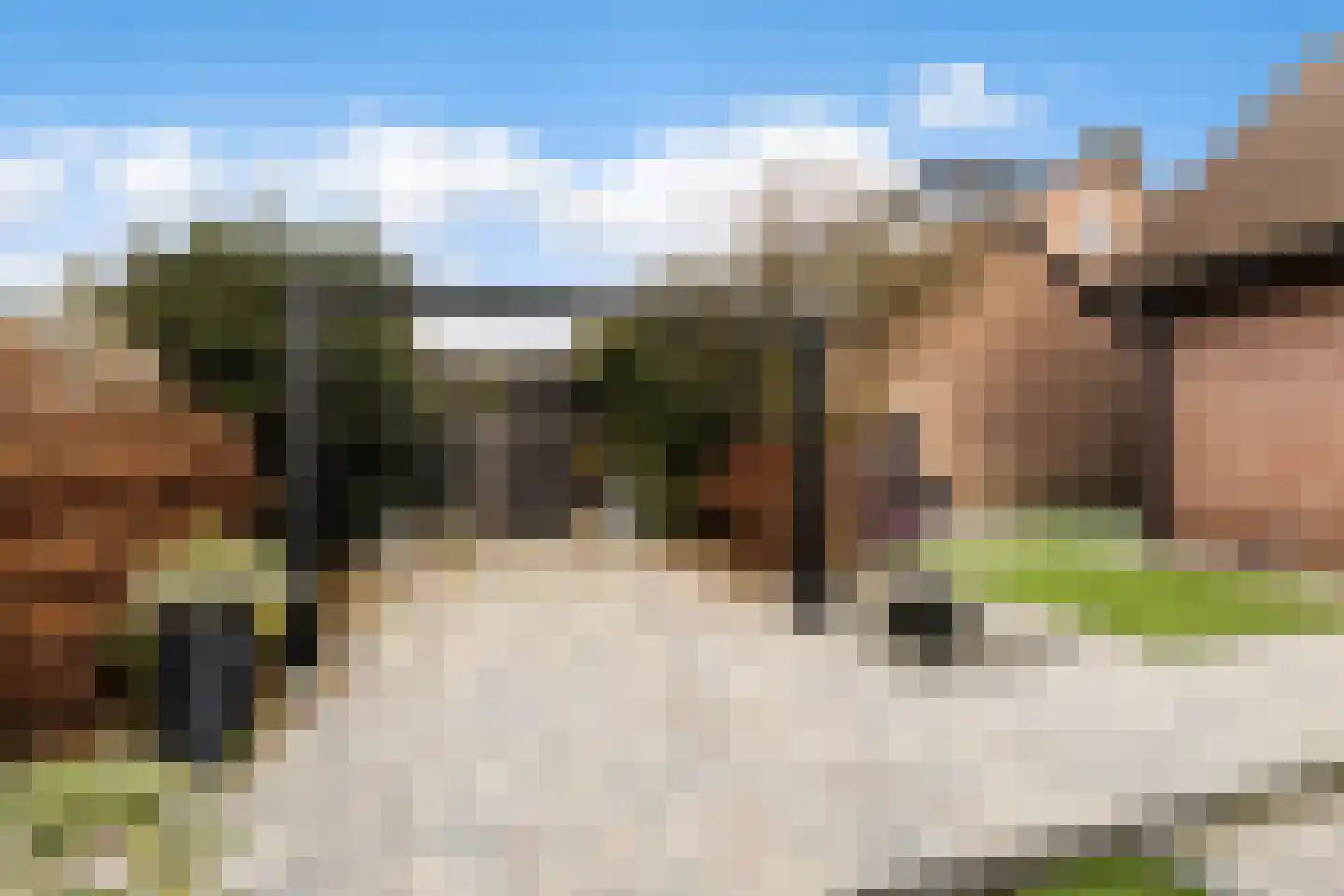 Acacialaan 25 Renswoude thumbnail 36