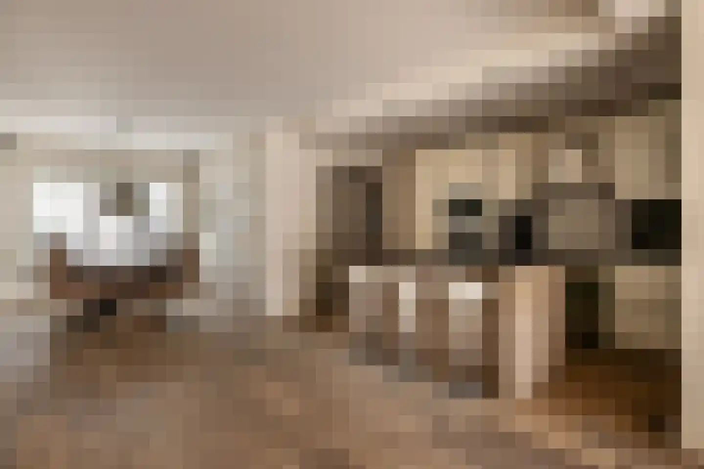 Acacialaan 25 Zwanenburg thumbnail 5