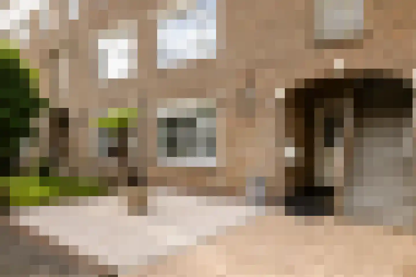 Acacialaan 25 Zwanenburg thumbnail 7