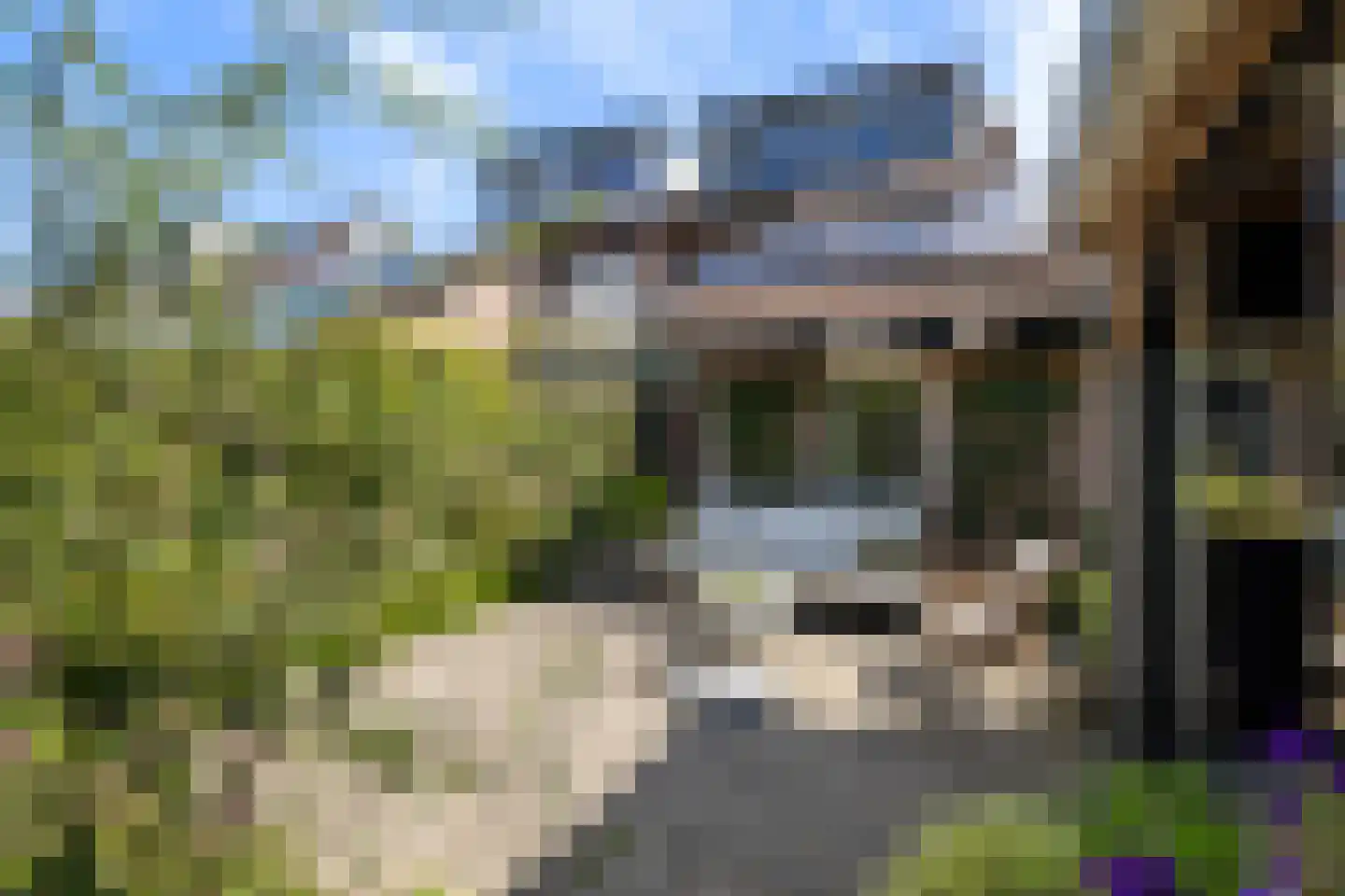 Acacialaan 27 Renswoude thumbnail 31