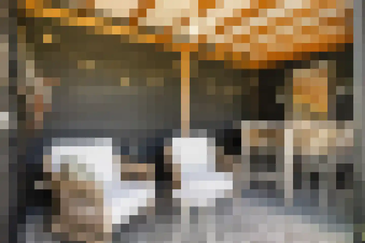 Acacialaan 27 Renswoude thumbnail 6