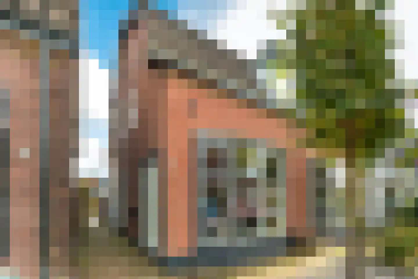 Acacialaan 28 Baarn thumbnail 43