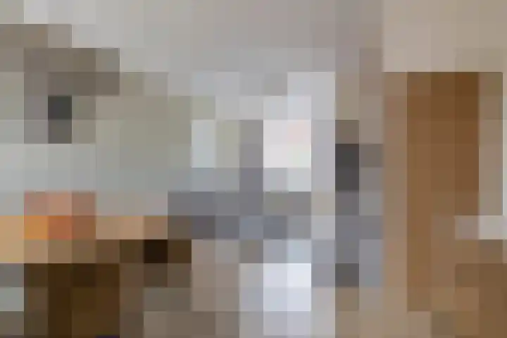 Acacialaan 28 Wormerveer thumbnail 17