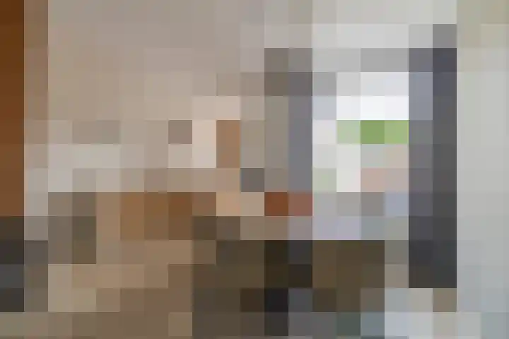 Acacialaan 28 Wormerveer thumbnail 19