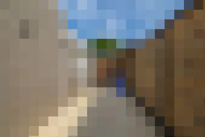 Acacialaan 28 Wormerveer thumbnail 37