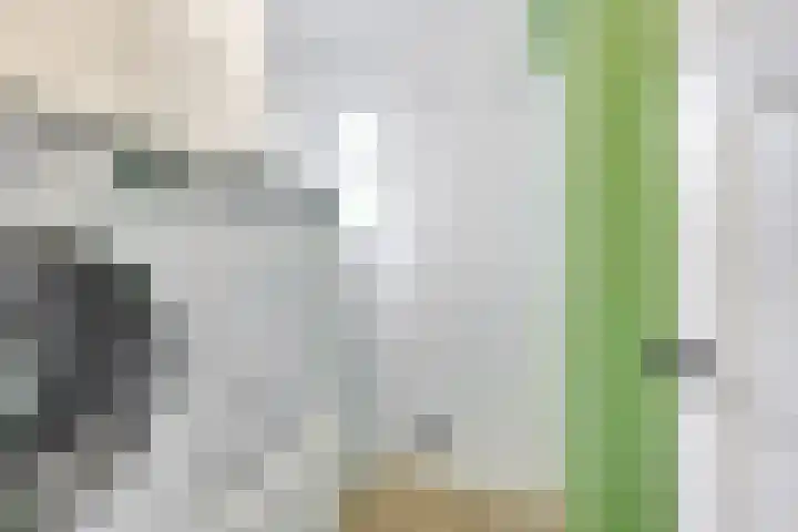 Acacialaan 29 Doorn thumbnail 19