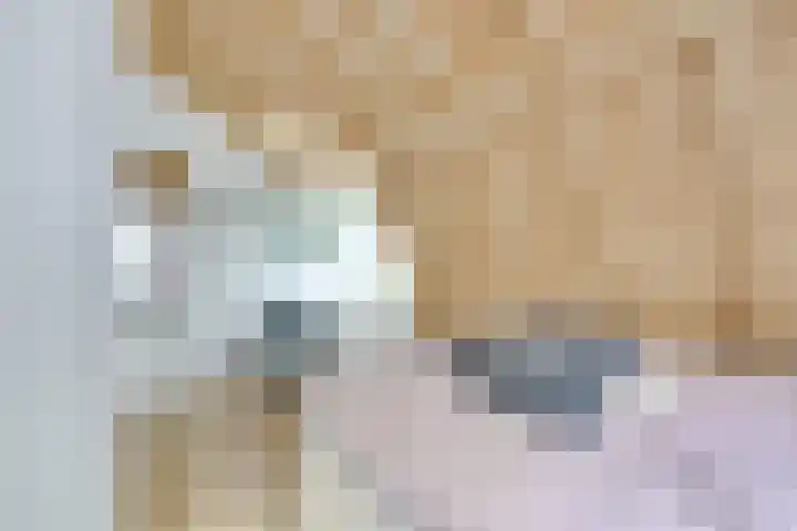 Acacialaan 29 Doorn thumbnail 33