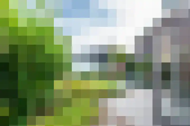 Acacialaan 29 Doorn thumbnail 35