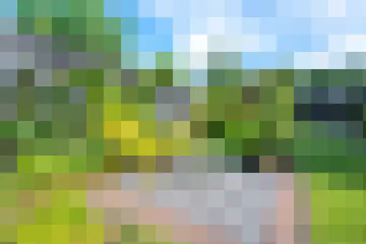 Acacialaan 29 Doorn thumbnail 37