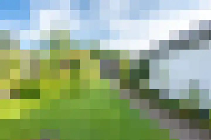 Acacialaan 29 Doorn thumbnail 38