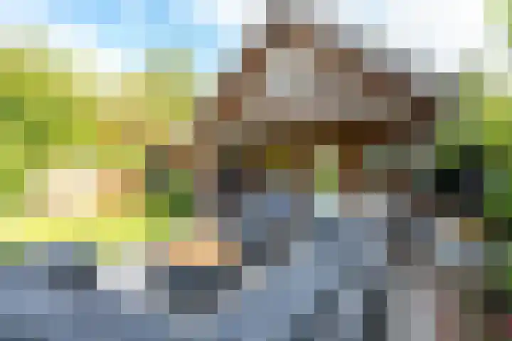 Acacialaan 29 Doorn thumbnail 39