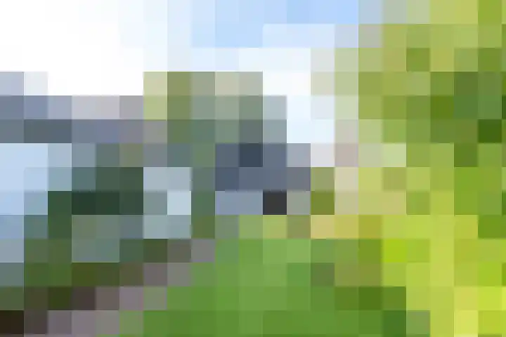 Acacialaan 29 Doorn thumbnail 4