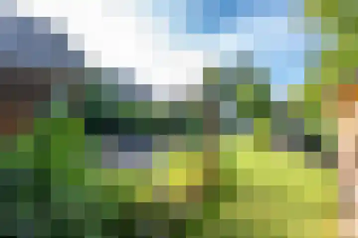 Acacialaan 29 Doorn thumbnail 41