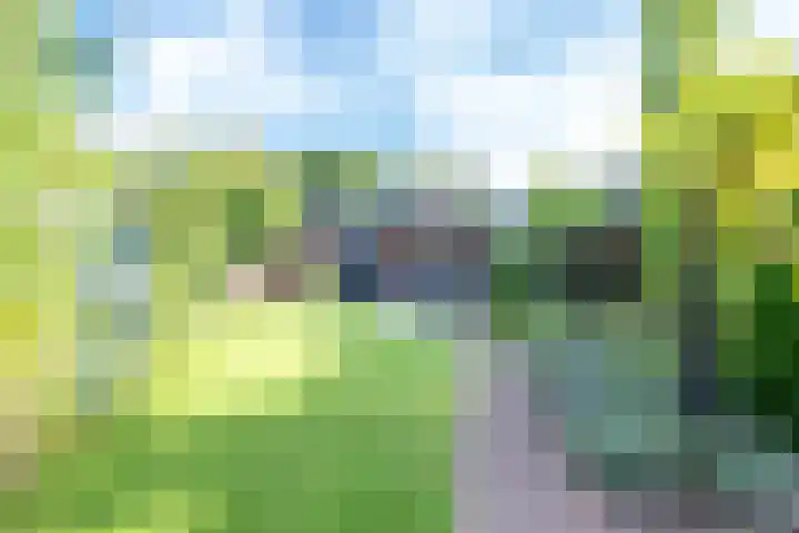 Acacialaan 29 Doorn thumbnail 5